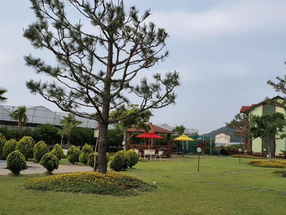 Jeju Time-Travel Pension מראה חיצוני תמונה