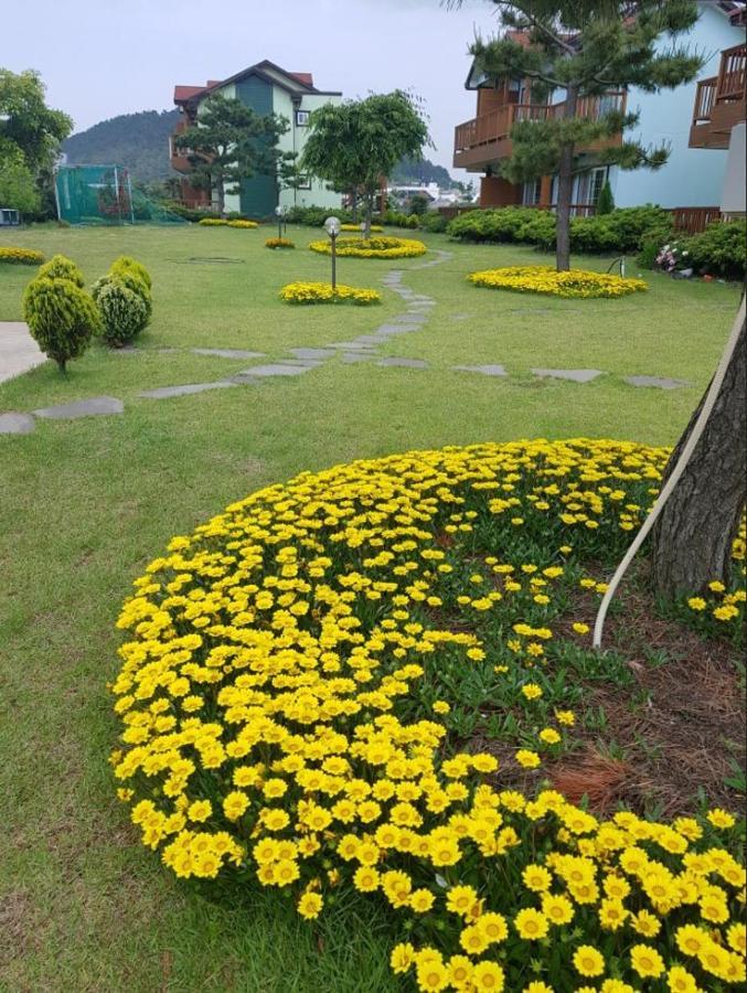 Jeju Time-Travel Pension מראה חיצוני תמונה